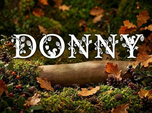 Donny Font: Bold Display Type